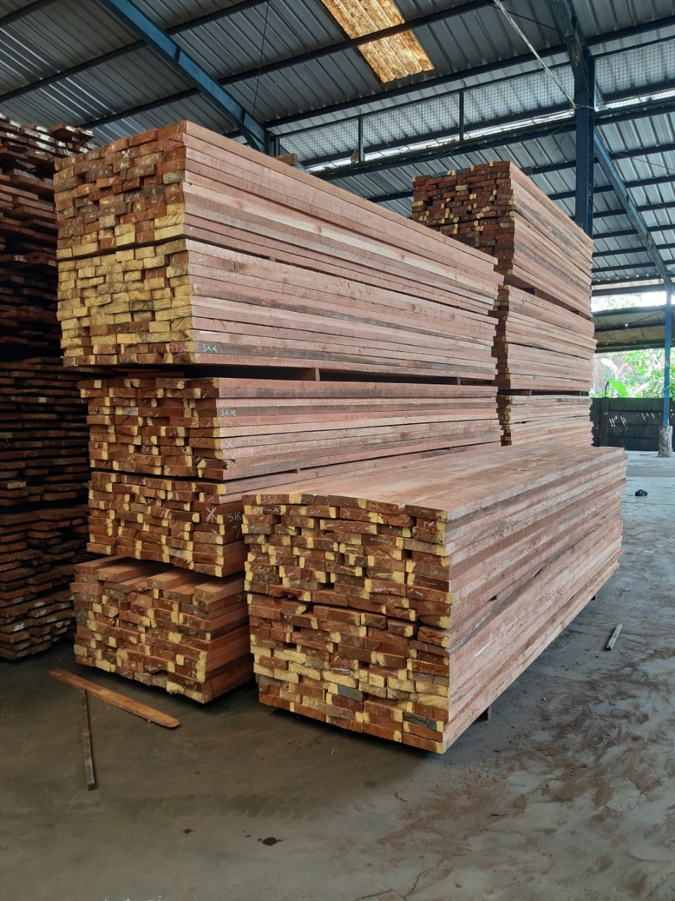 JUAL Kayu Karet  | Tangerang